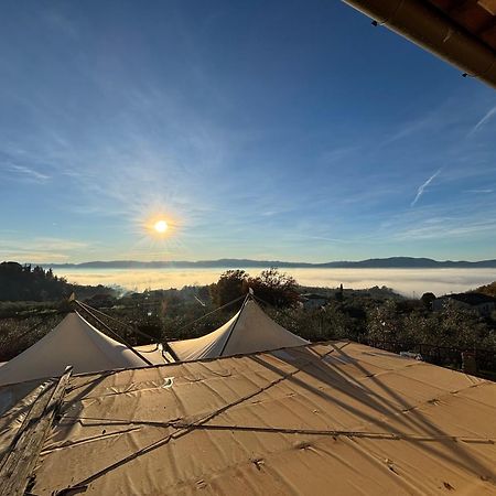 Agriturismo La Casuccia Castelfranco di Sopra Zewnętrze zdjęcie