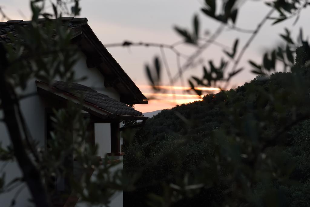Agriturismo La Casuccia Castelfranco di Sopra Zewnętrze zdjęcie