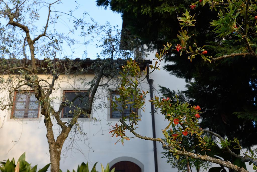 Agriturismo La Casuccia Castelfranco di Sopra Zewnętrze zdjęcie