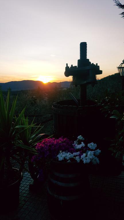Agriturismo La Casuccia Castelfranco di Sopra Zewnętrze zdjęcie